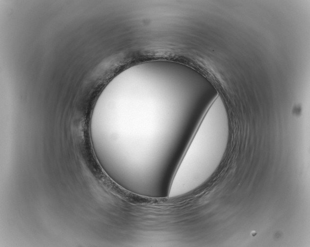 X0000094380643200711020826