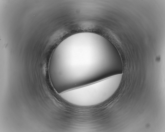 X0000094380644200711020826