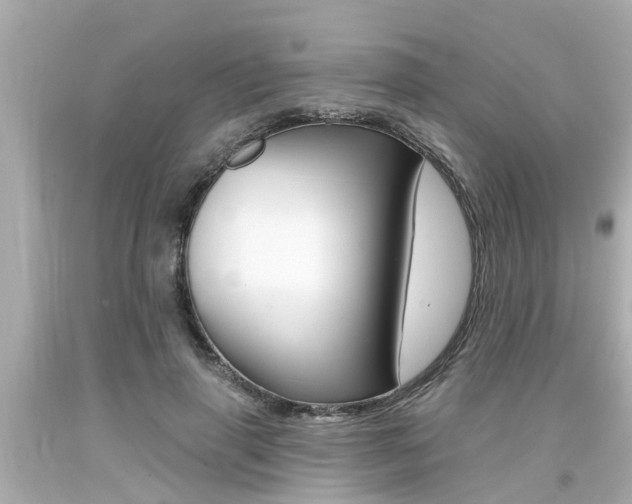 X0000094380645200711020826