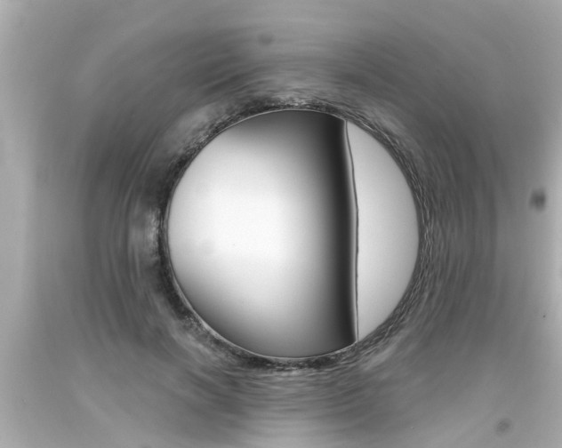 X0000094380646200711020826