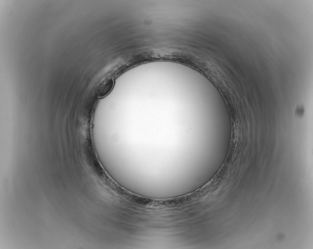 X0000094380648200711020826