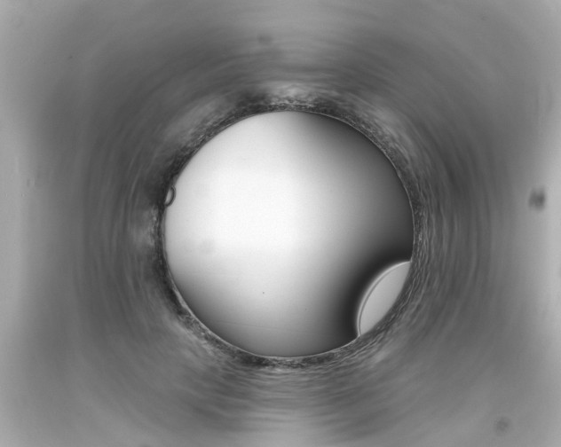 X0000094380649200711020826