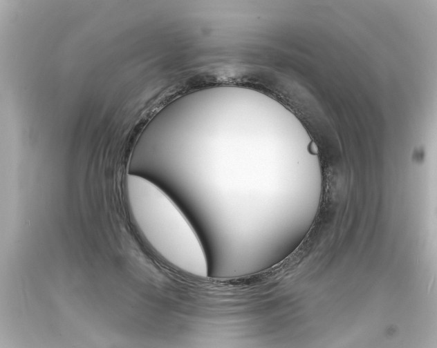 X0000094380650200711020826