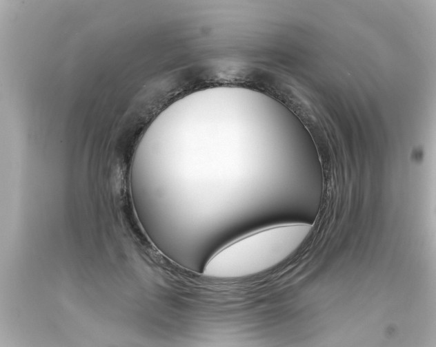 X0000094380651200711020826