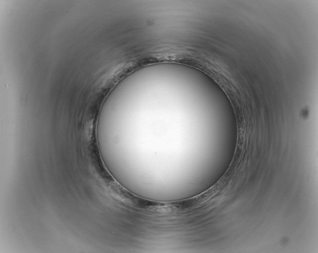 X0000094380652200711020826