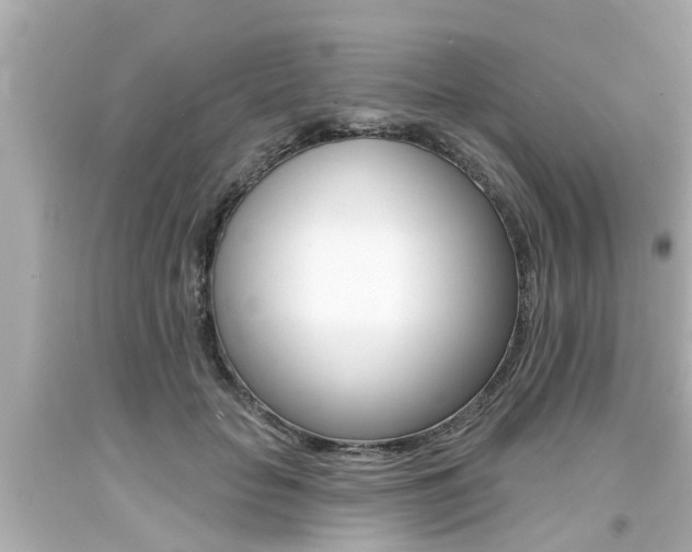 X0000094380653200711020826