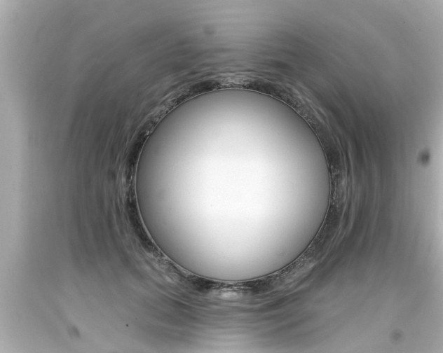 X0000094380655200711020826