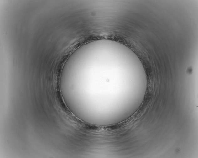 X0000094380656200711020826