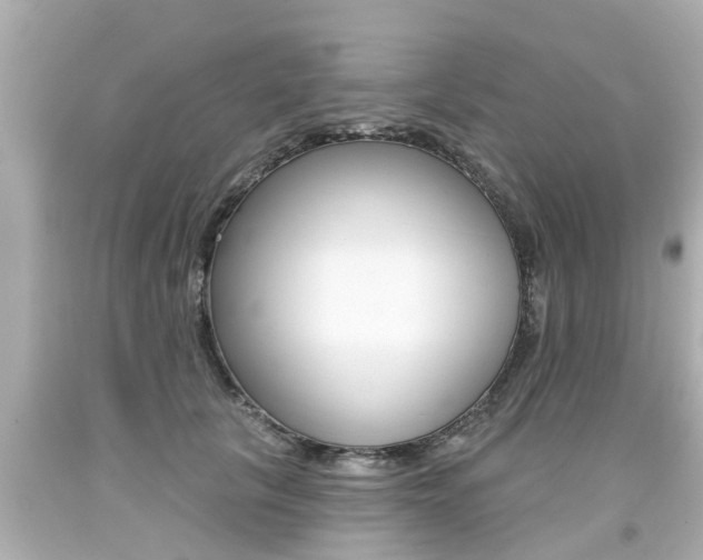 X0000094380657200711020826