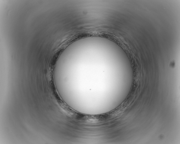 X0000094380658200711020826