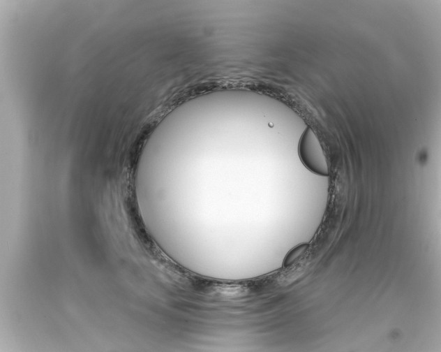 X0000094380659200711020826