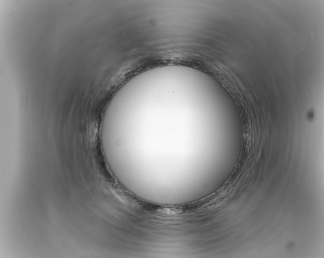 X0000094380660200711020826
