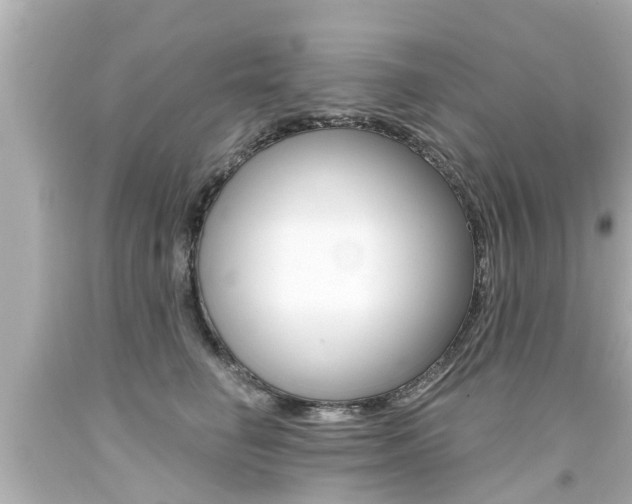 X0000094380662200711020826