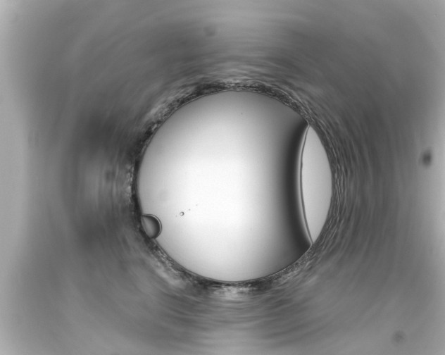 X0000094380664200711020826