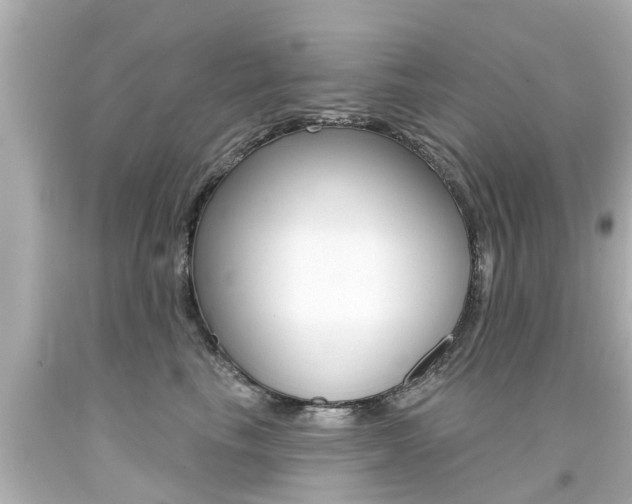 X0000094380665200711020826
