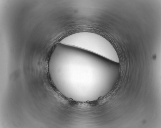 X0000094380666200711020826