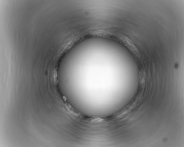 X0000094380669200711020826