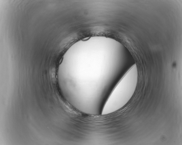 X0000094380670200711020826