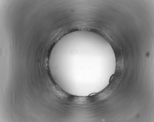 X0000094380671200711020826