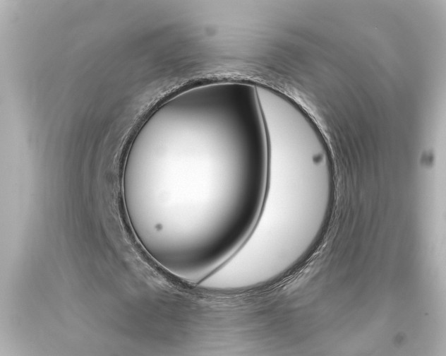 X0000094380673200711020826