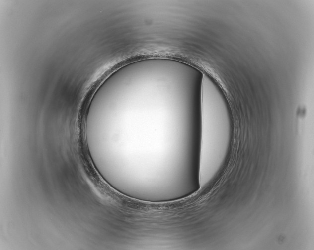 X0000094380674200711020826