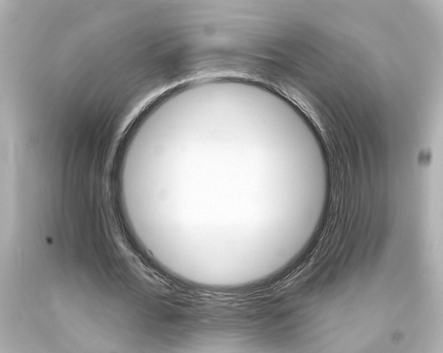 X0000094380676200711020826