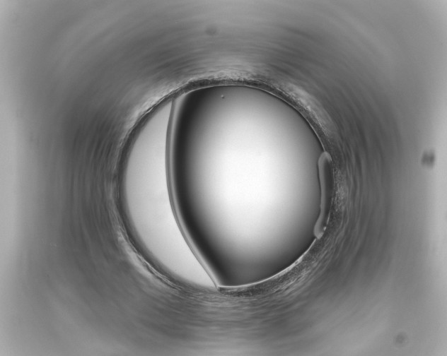 X0000094380677200711020826
