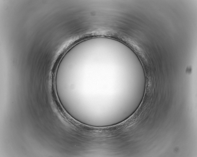 X0000094380678200711020826