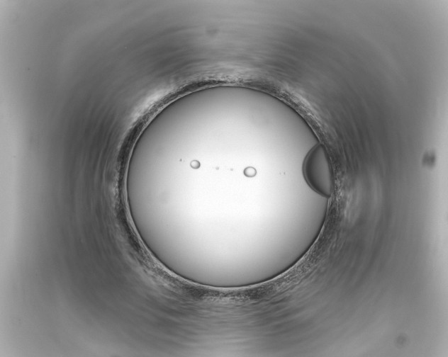 X0000094380679200711020826