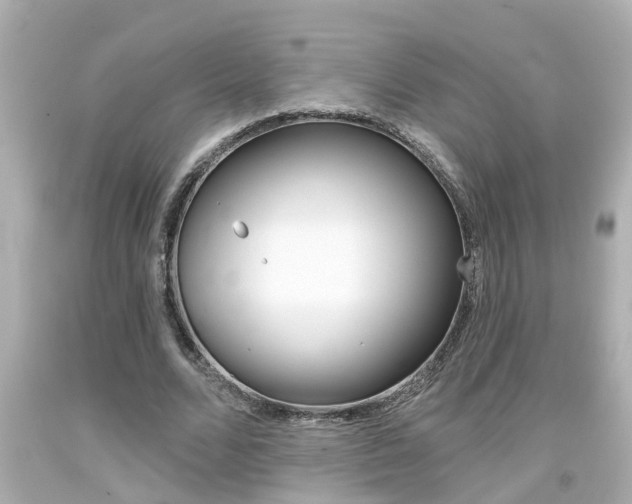 X0000094380680200711020826