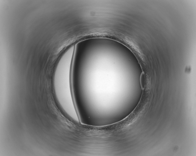 X0000094380681200711020826