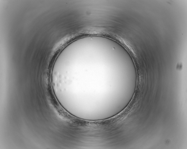 X0000094380682200711020826