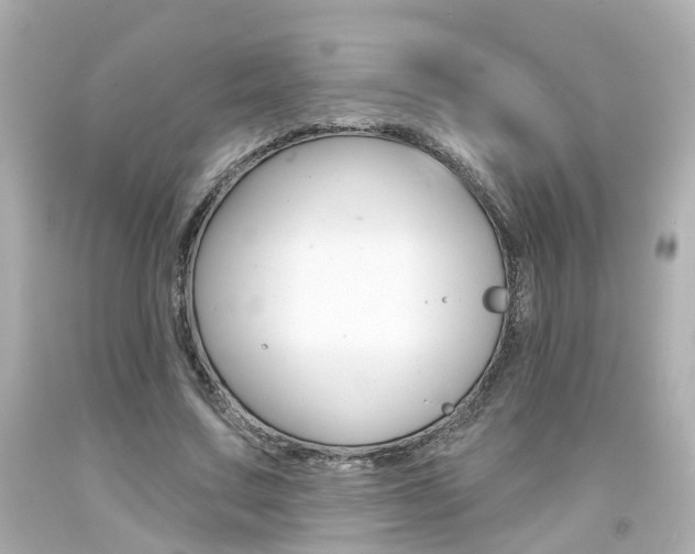 X0000094380683200711020826