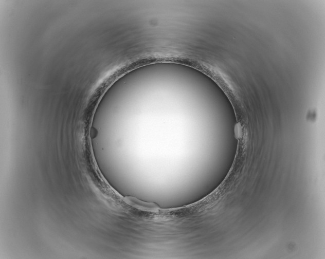 X0000094380684200711020826