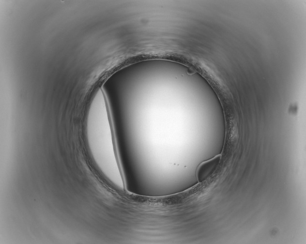 X0000094380685200711020826