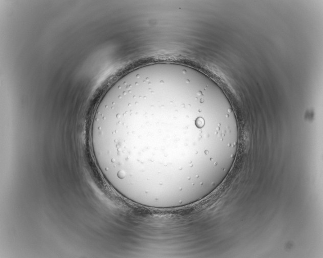 X0000094380686200711020826