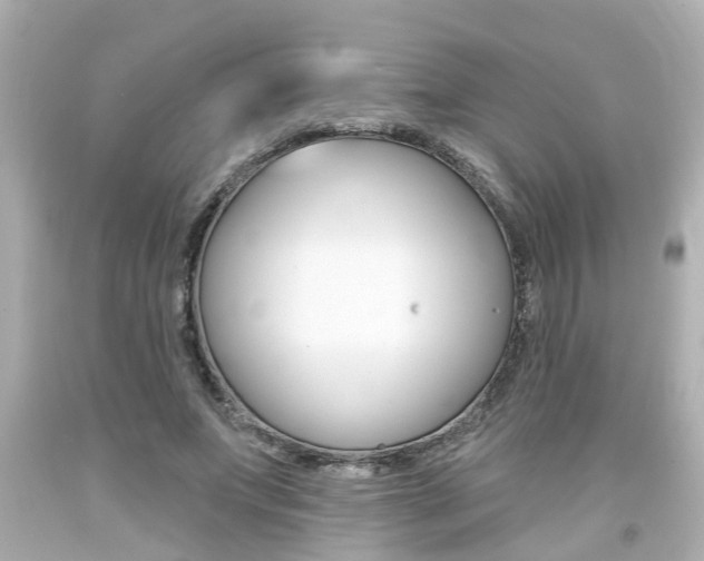 X0000094380687200711020826