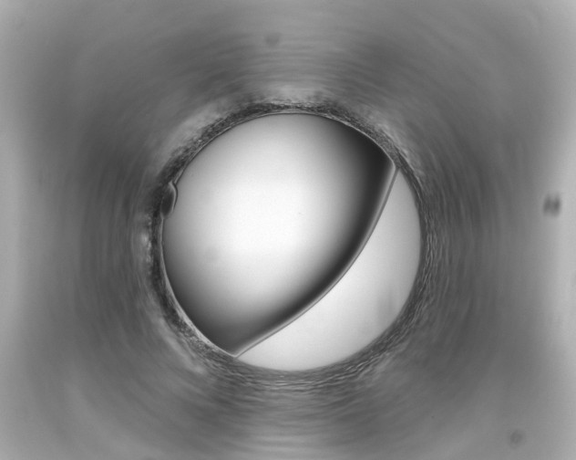 X0000094380688200711020825