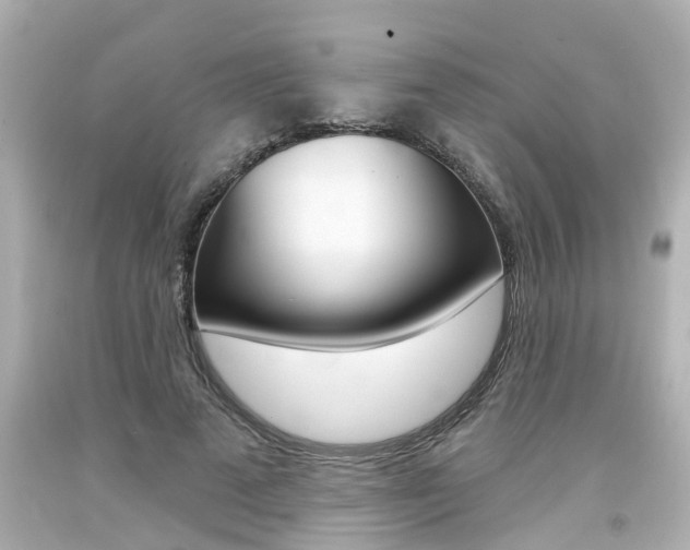 X0000094380689200711020825