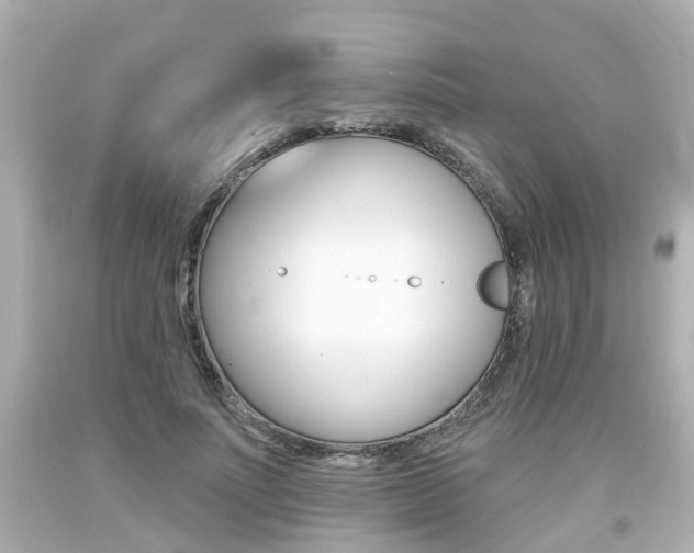 X0000094380691200711020825