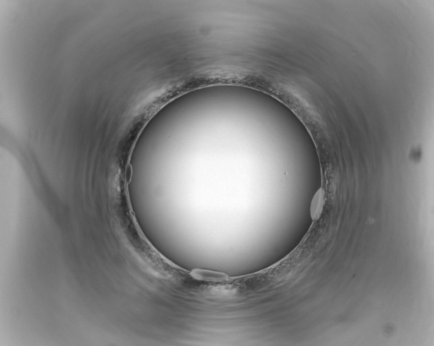 X0000094380692200711020825