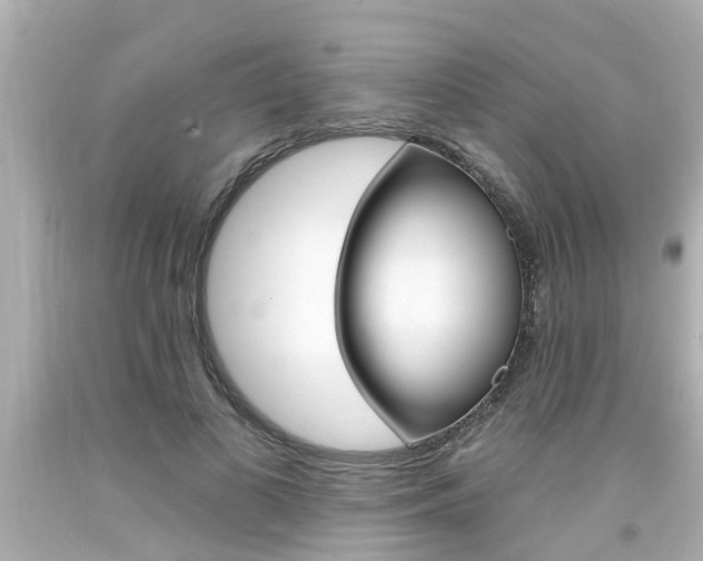 X0000094380693200711020825