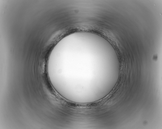 X0000094380694200711020825