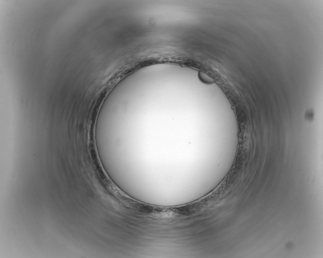 X0000094380695200711020825