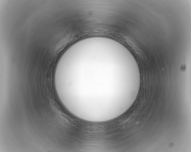 X0000094380696200711020825