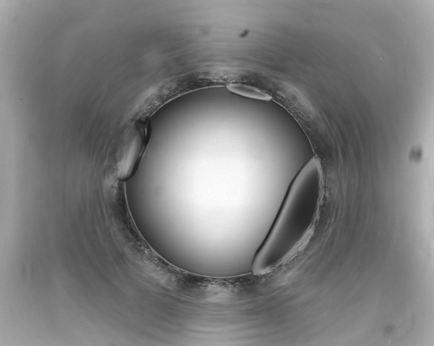 X0000094380697200711020825