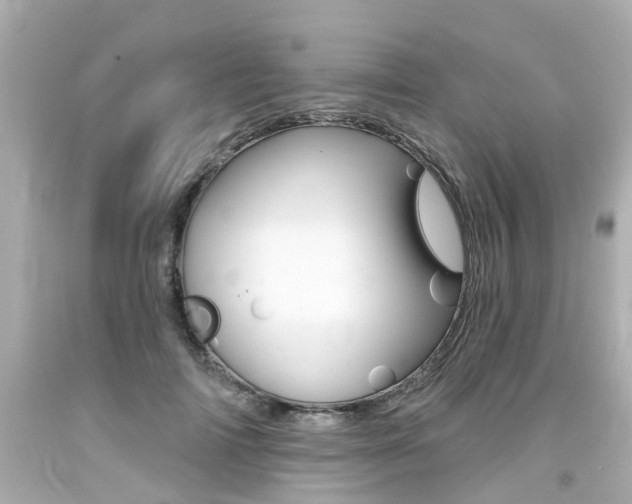 X0000094380698200711020825