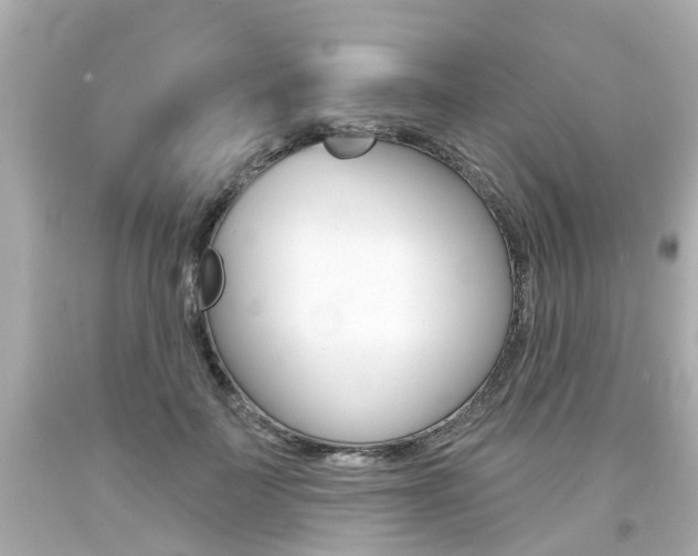 X0000094380699200711020825