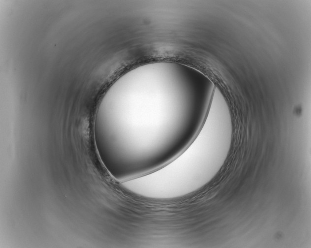 X0000094380700200711020825