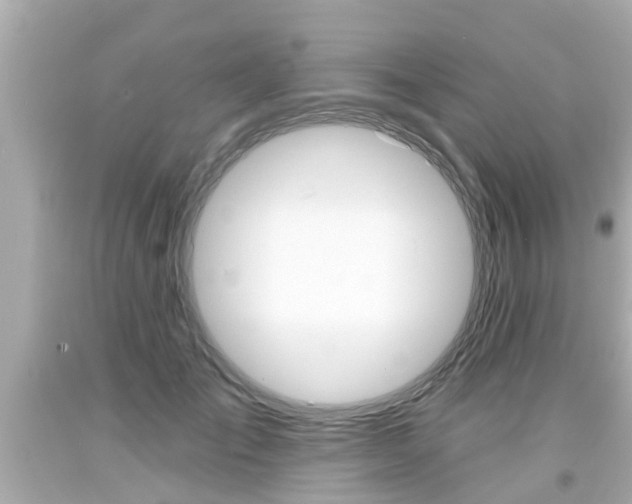 X0000094380701200711020825